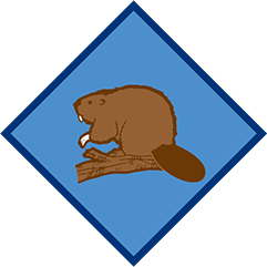 ビーバースカウトのアイコン