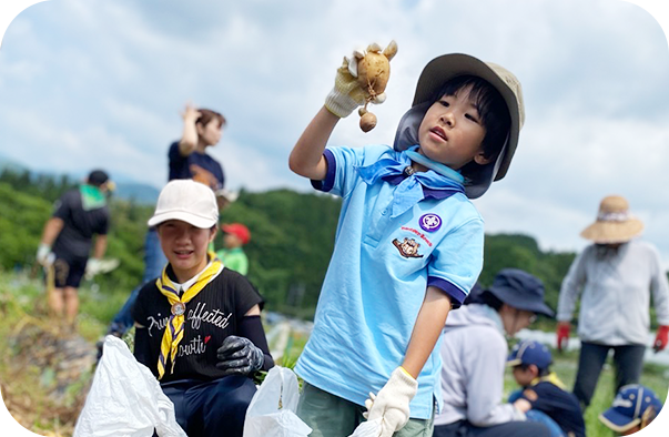 ビーバースカウトの画像